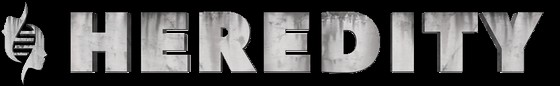JPEG - 13.3 ko