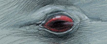 JPEG - 72.2 ko